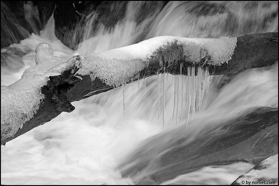 Wildes Wasser