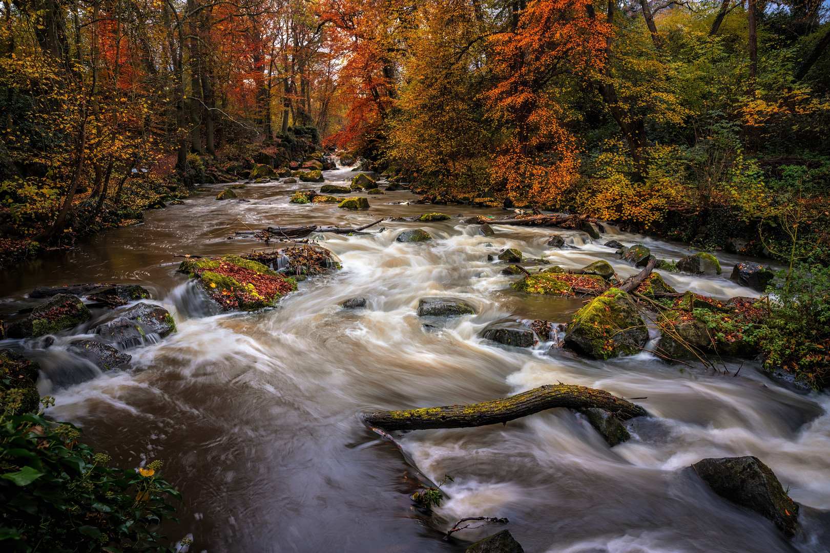 Wildes Wasser