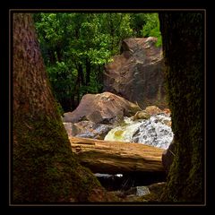 Wildes Wasser im Yosemite