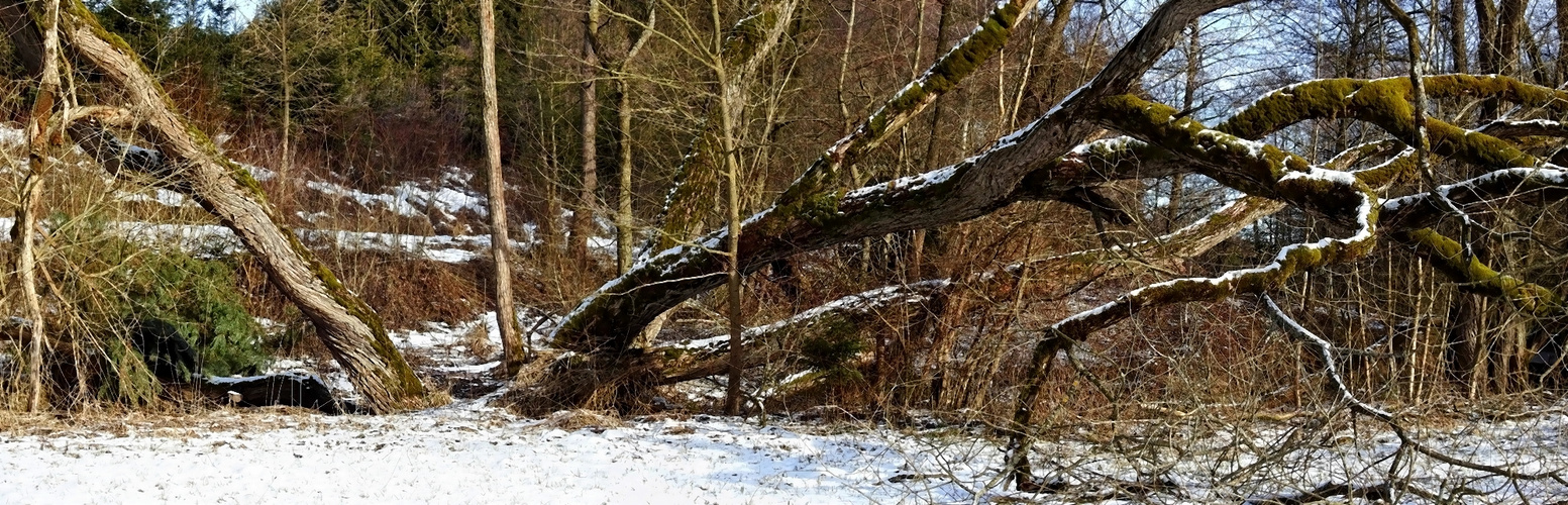 Wildes Wetteratal