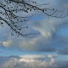 Wildes Wolkenbild