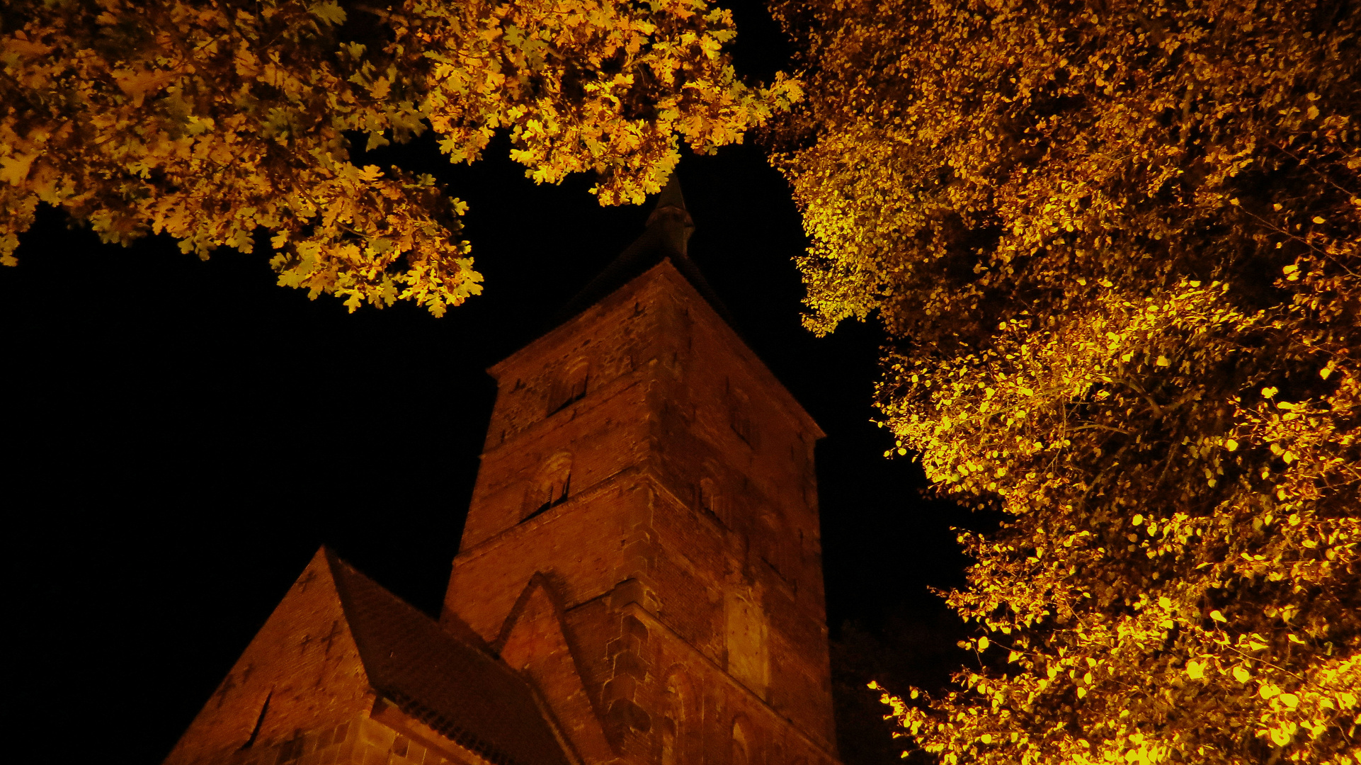 Wildeshausen, Alexanderkirche