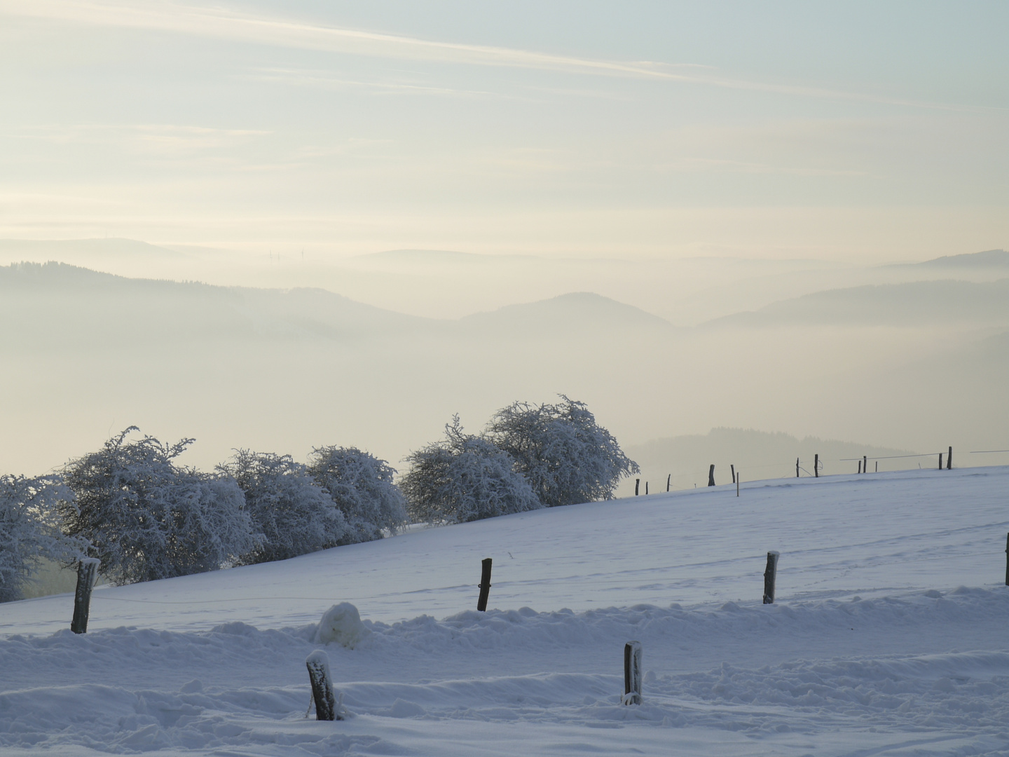 Wildewiese Sauerland