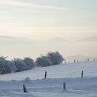 Wildewiese Sauerland