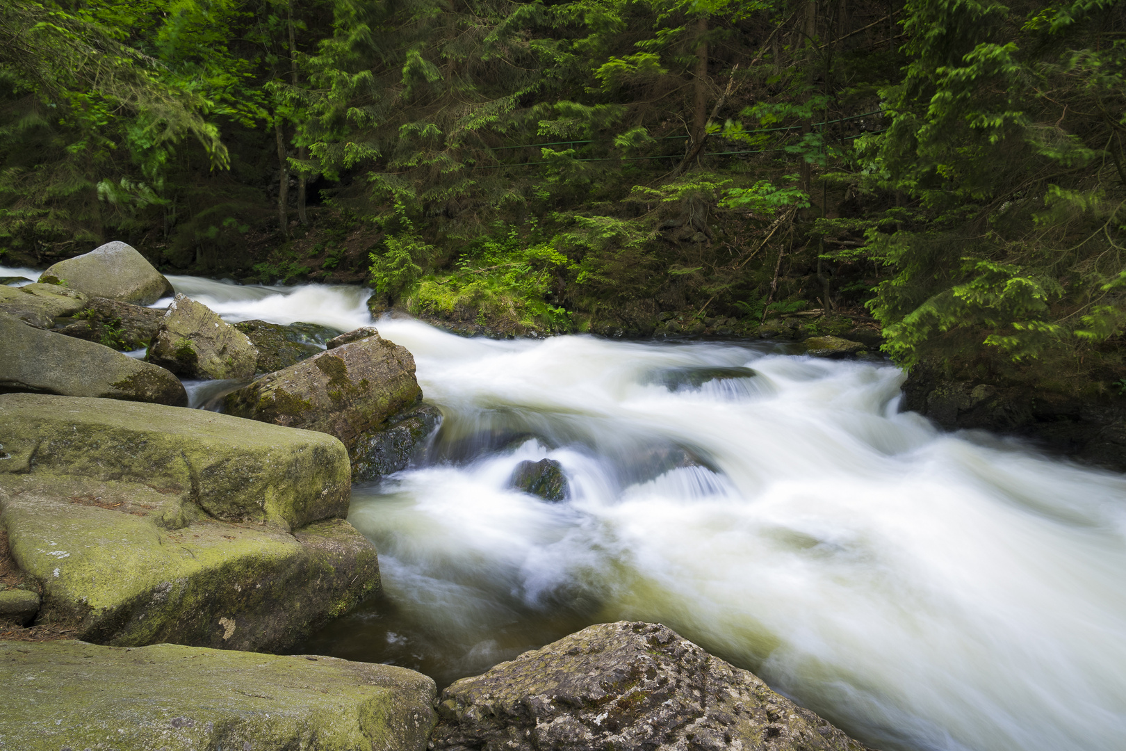 Wildfluss Oker im Harz