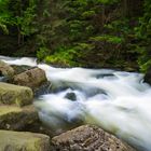 Wildfluss Oker im Harz