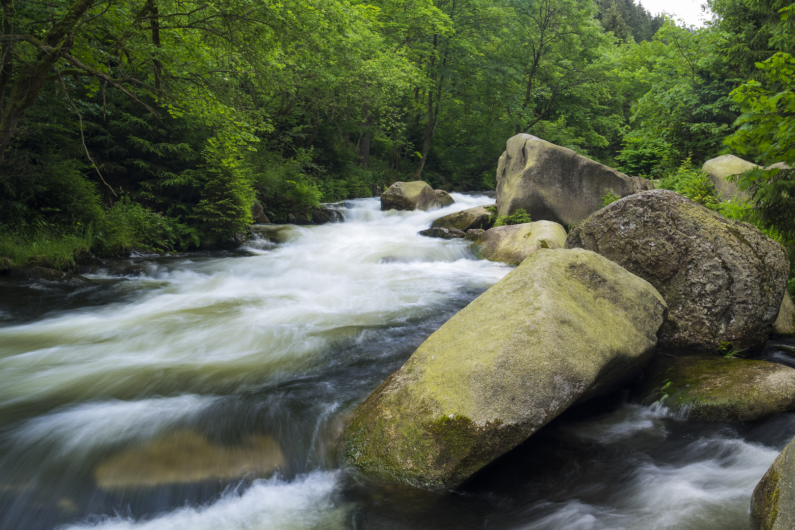 Wildfluss Oker im Harz