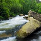 Wildfluss Oker im Harz