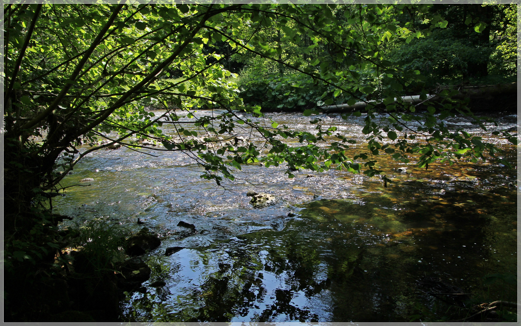 Wildflußlandschaft