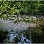 Wildflußlandschaft