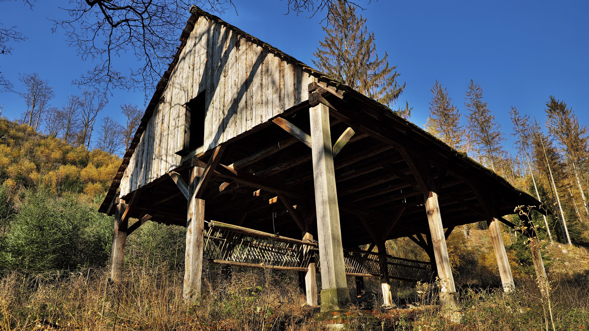 Wildfütterung im Selketal