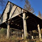 Wildfütterung im Selketal