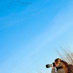 Wildgänse im Anflug - Naturschutzgebiet De Gelderse Poort