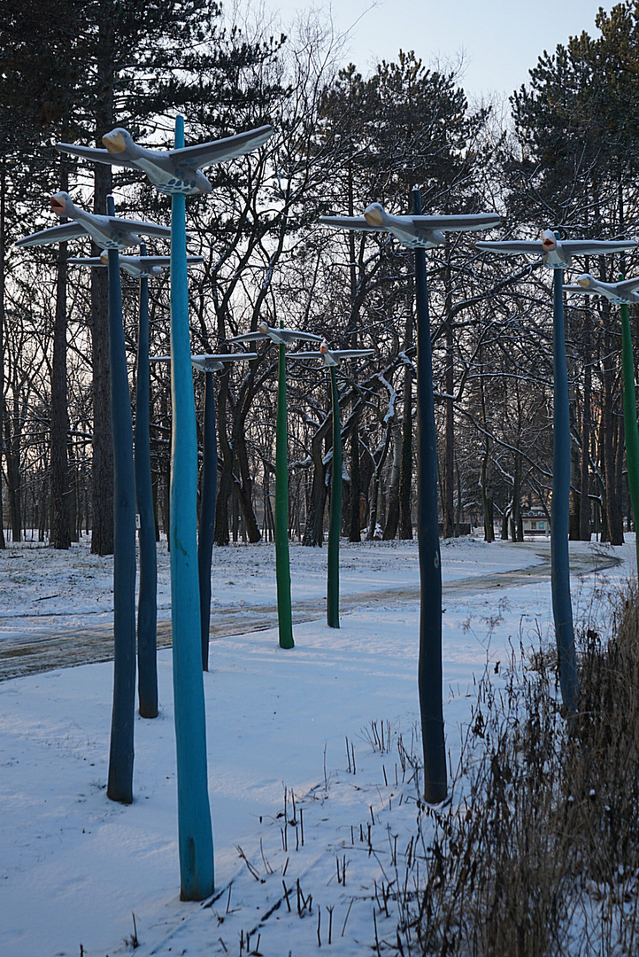 wildgänse im schnee