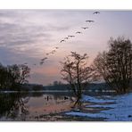 wildgänse rauschen durch die nacht