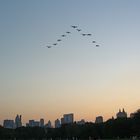 Wildgänse über dem Central Park