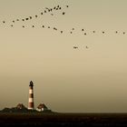 Wildgänse über dem Leuchtturm