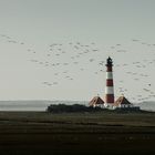 Wildgänse vor dem Leuchtturm Westerhever