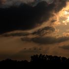  Wildgansgruppe im Sonnenuntergang