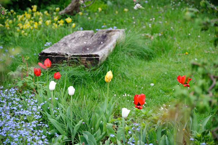 Wildgarten - Idyll