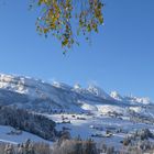 Wildhaus im Schnee