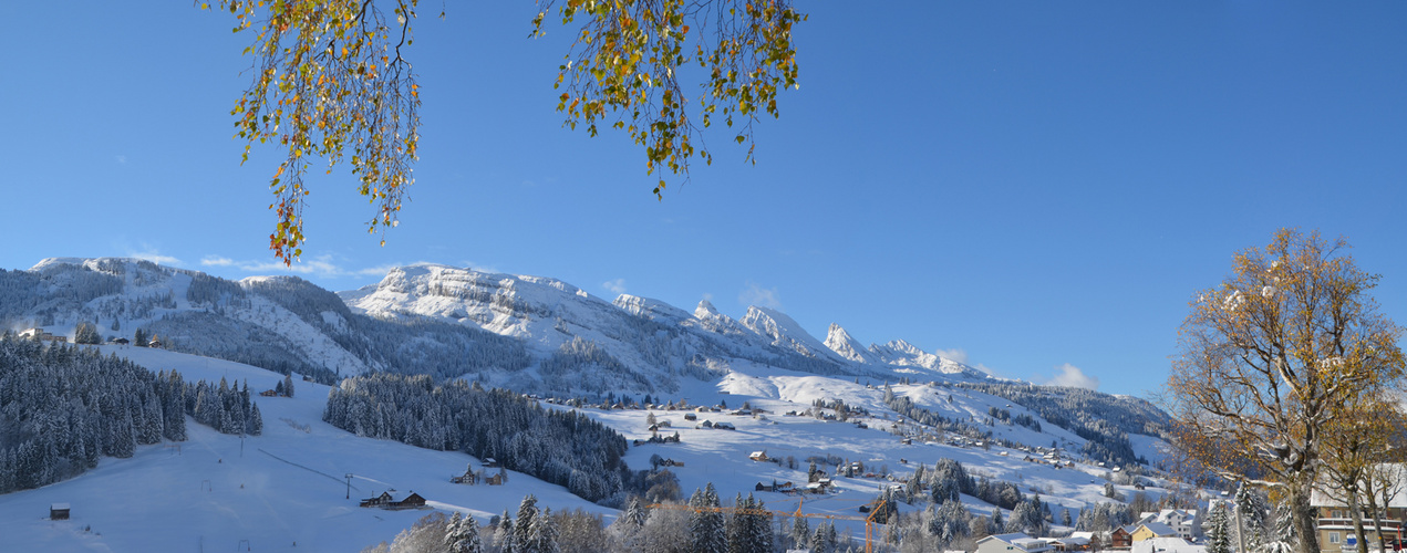 Wildhaus im Schnee