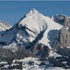 Wildhauser Schafberg