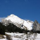 Wildhauser Schafberg