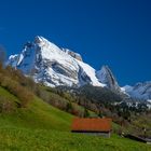 Wildhauser Schafberg - von Starkenbach