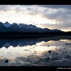 Wildhorse Lake - Kanada