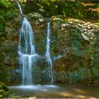 Wildkar Wasserfall im Teufelsgraben