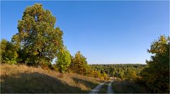 Wildkatzenwanderweg