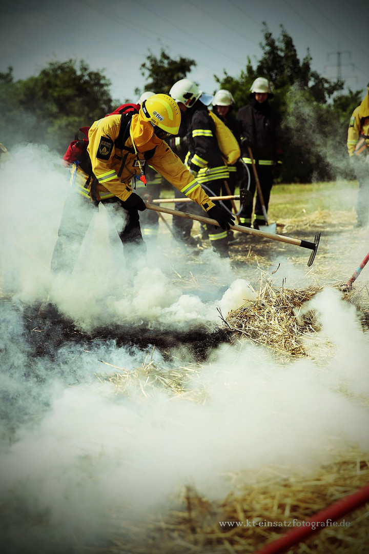 Wildland firefighting #1