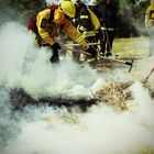 Wildland firefighting #1