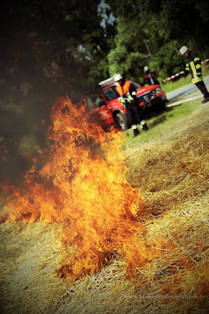 Wildland firefighting #3