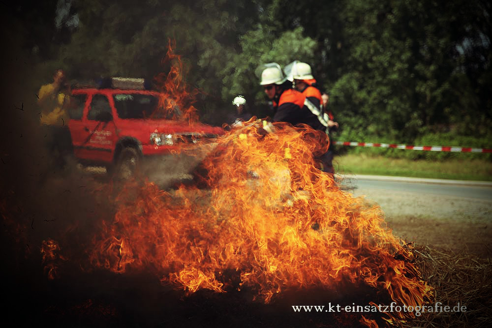 Wildland firefighting #5