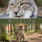 Wildlife