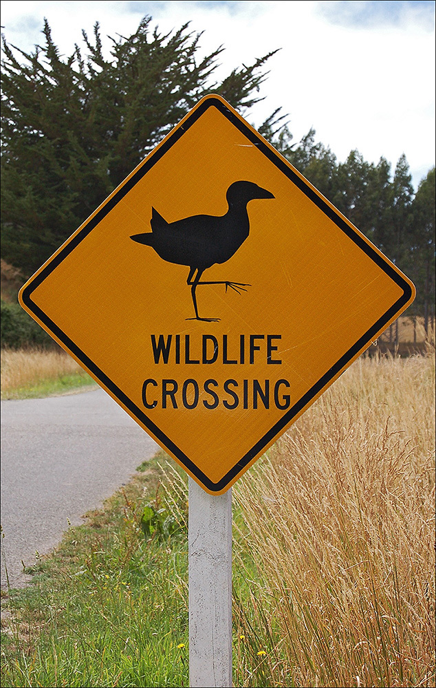 "Wildlife Crossing"