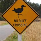 "Wildlife Crossing"