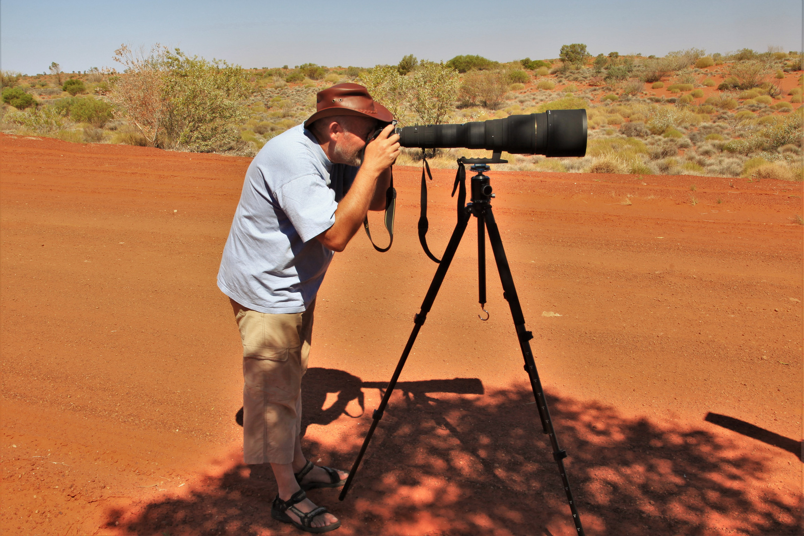 Wildlife Fotografie ist wirklich schwer...diverse Kilos