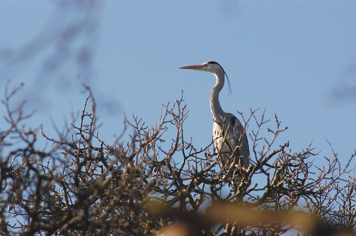 Wildlife im Tierpark