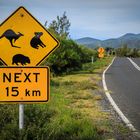 Wildlife in Australia