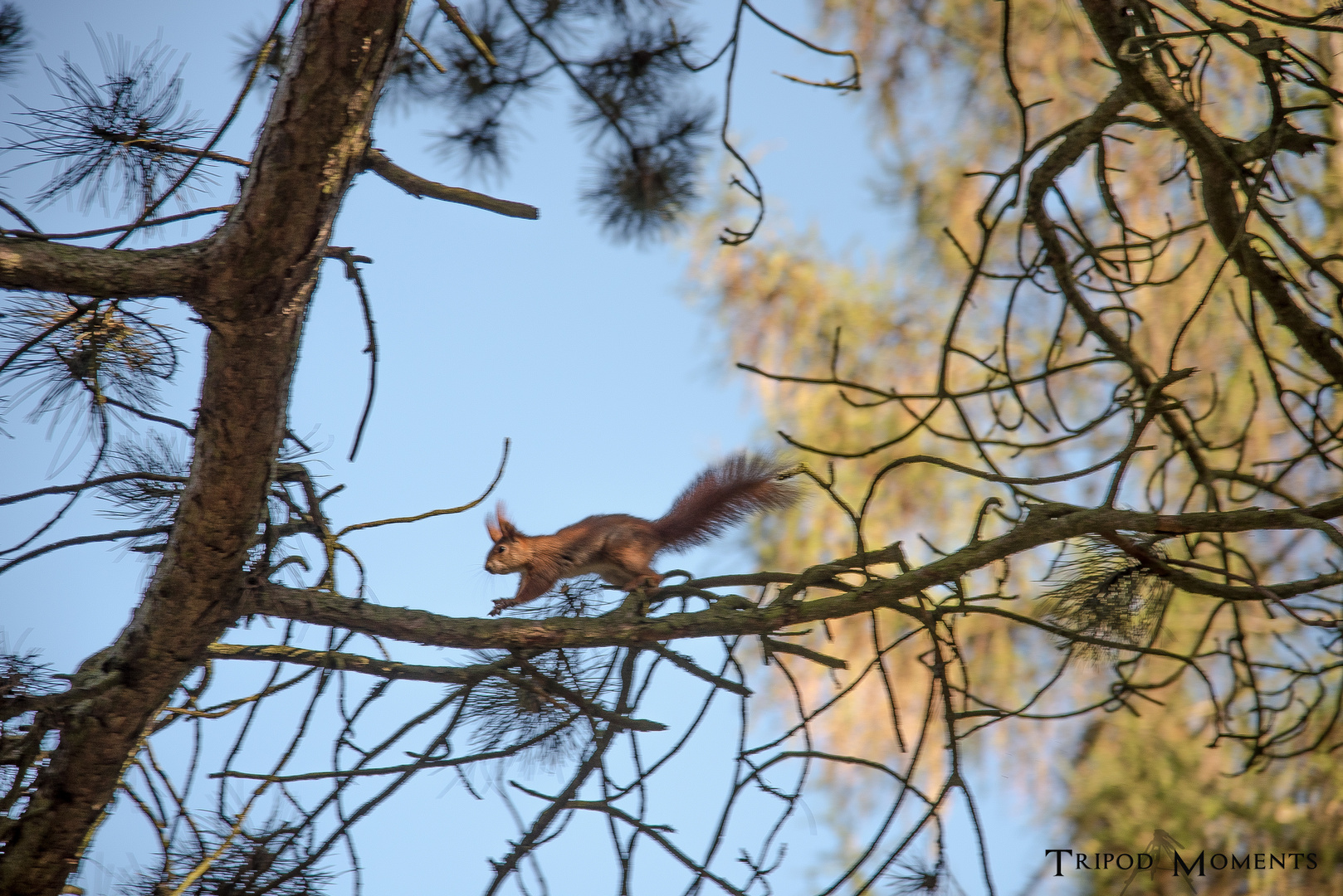 Wildlife Leipzig