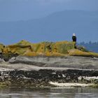 "Wildlife" on the Rocks