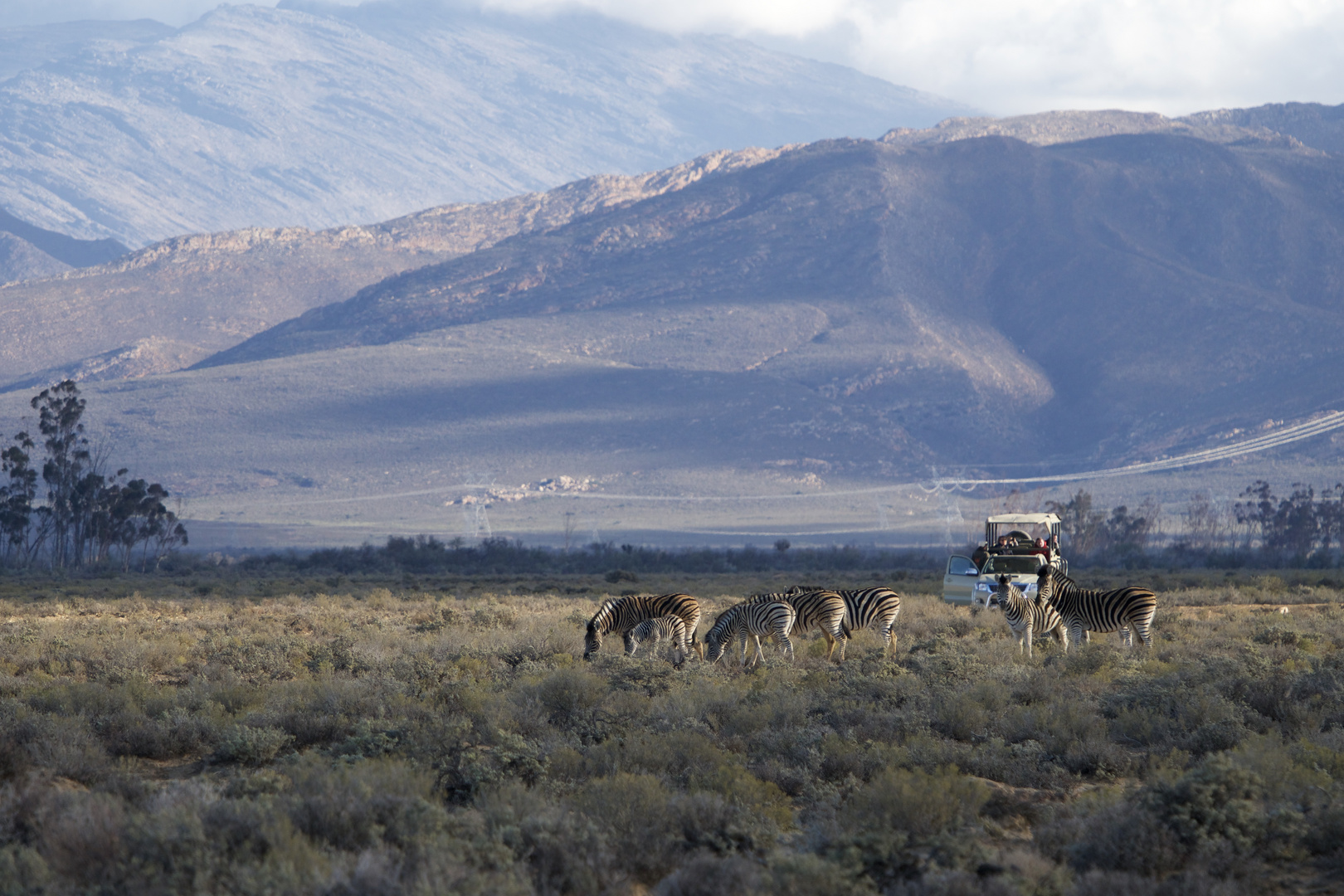 Wildlife-Safari in Inverdoorn