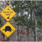 Wildlife Xing....