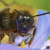 WILDLIFEPHOTOGRAPHY