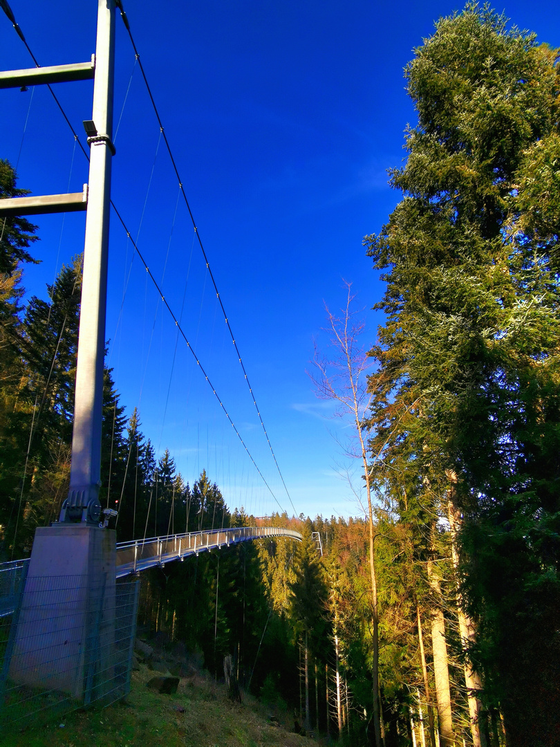 WILDLINE Hängebrücke