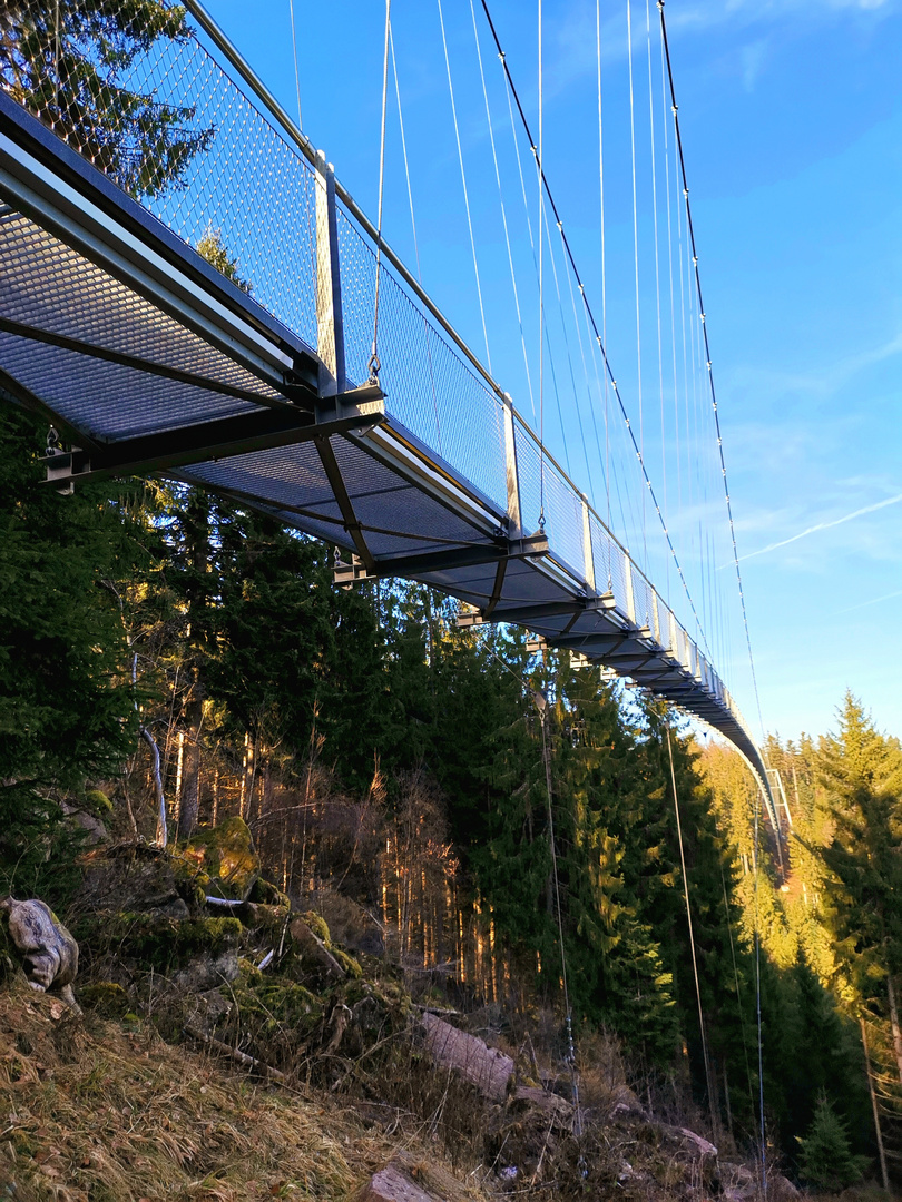 WILDLINE Hängebrücke