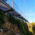 WILDLINE Hängebrücke